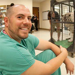 Dr. Chris Hortsman, Orthopedic Veterinarian at Sirius Veterinary Orthopedic Center 